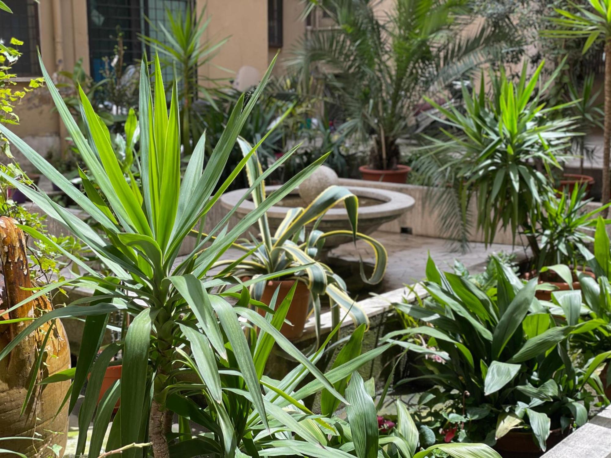 Home Sweet Rome Vatican Εξωτερικό φωτογραφία