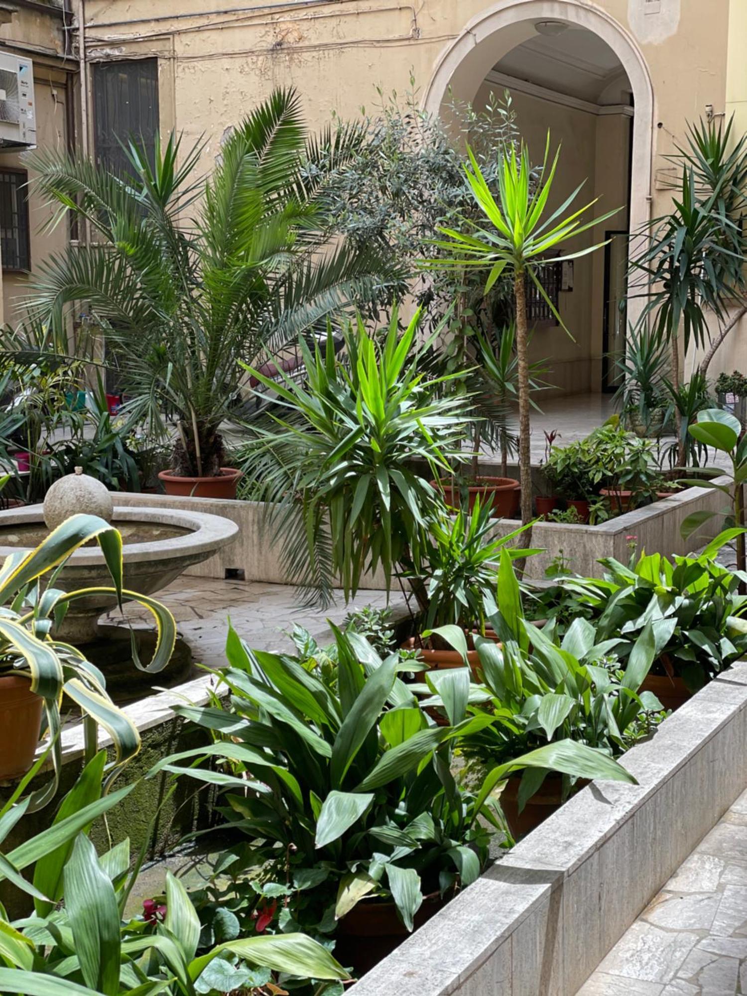 Home Sweet Rome Vatican Εξωτερικό φωτογραφία